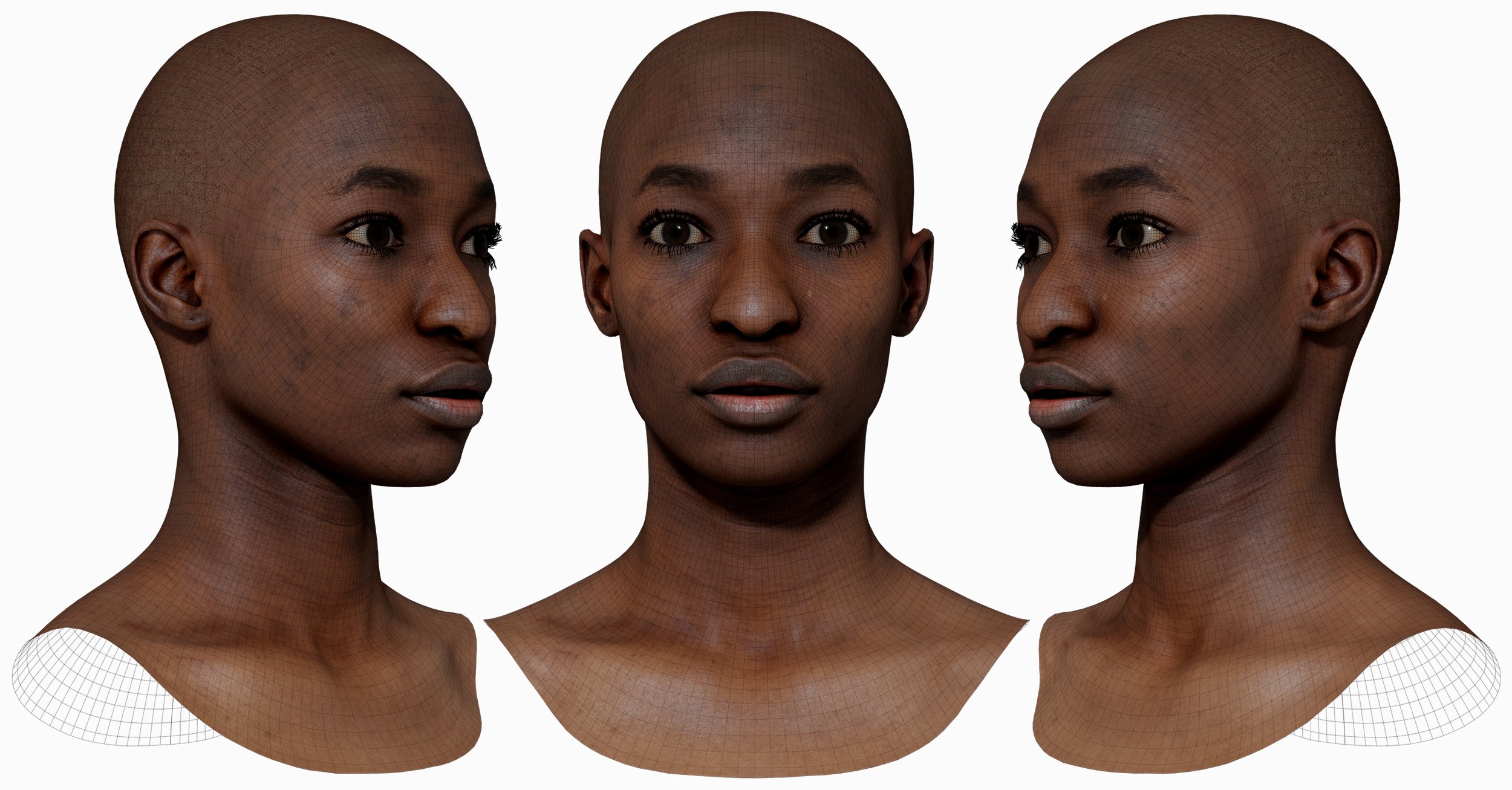 Female Head 3D Scan Download